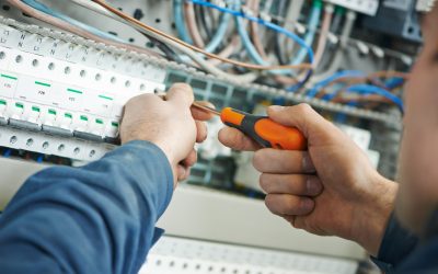 Skilled Professionals